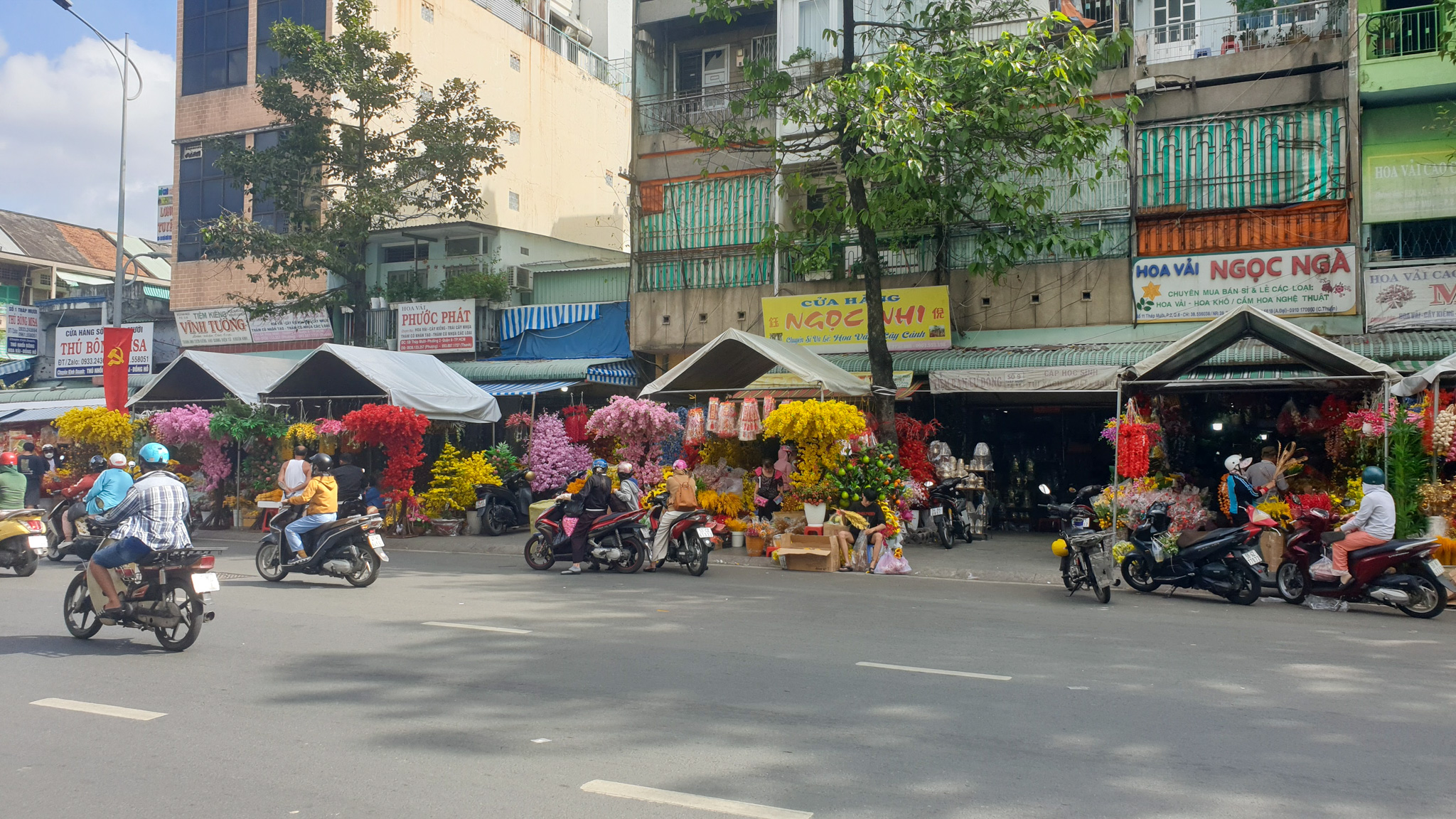 Fleurs du Têt à Ho Chi Minh