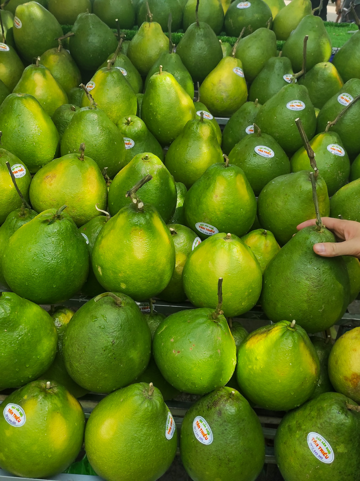 Fruit vietnamien